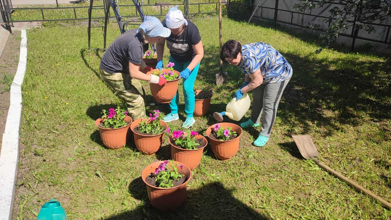 Благоустраиваем территорию