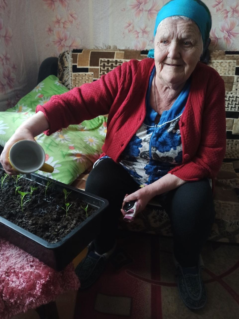 Выращивание рассады